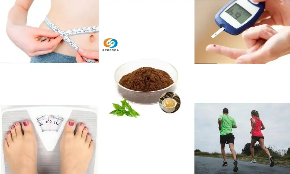 Can green tea extract burn fat?